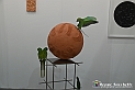 VBS_8352 - Artissima 2022 - Ventinovesima Edizione